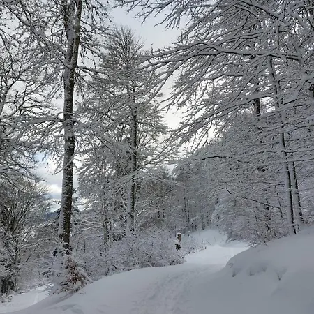 Ferienhaus Maison En Lisiere De Foret, Montagne Et Vignobles