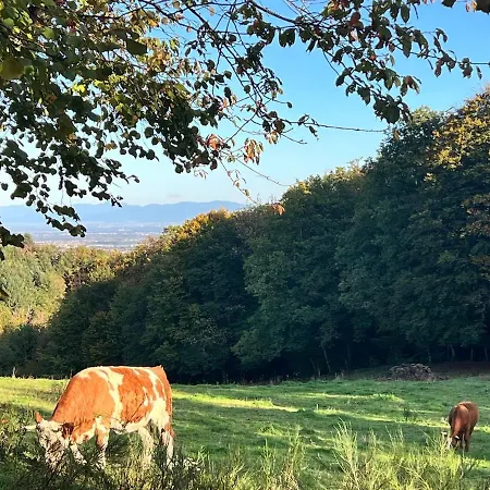 Ferienhaus Maison En Lisiere De Foret, Montagne Et Vignobles
